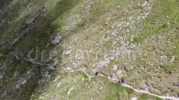 与游客在法加拉斯山脉的山路罗马尼亚夏天视频的预览图