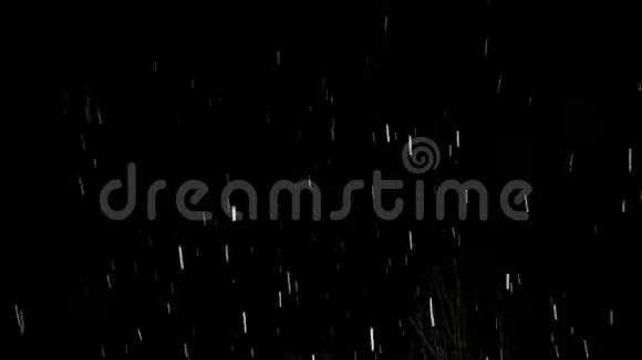 晚上在黑色背景上下雪视频的预览图