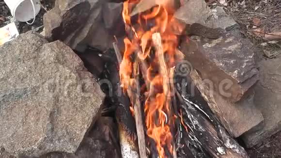 篝火炽热的火焰视频的预览图