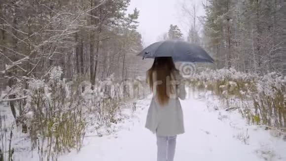 美丽的年轻女子的后景是在一个冬天的公园里散步慢动作时尚冬季画像视频的预览图