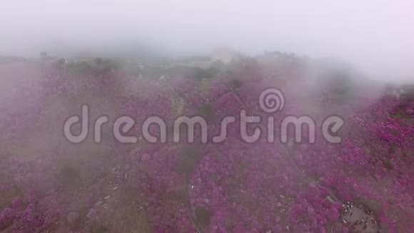 雾蒙蒙的碧玉山大邱韩国亚洲视频的预览图