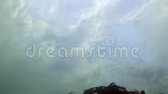 巴伦支海的波浪在水下视频的预览图