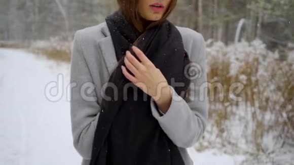 在冬天的公园里一位美丽的年轻女子冻僵了的手美丽的年轻女子走在视频的预览图