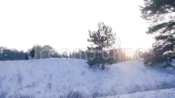 在阳光明媚的冬日家人在户外玩得很开心妈妈和儿子在森林里用雪橇走路视频的预览图