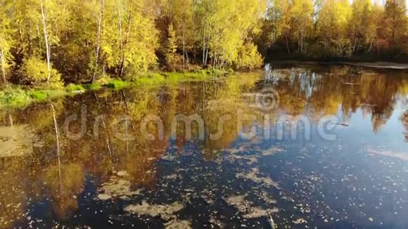 从俄罗斯的秋景之上升起有桦树和池塘视频的预览图