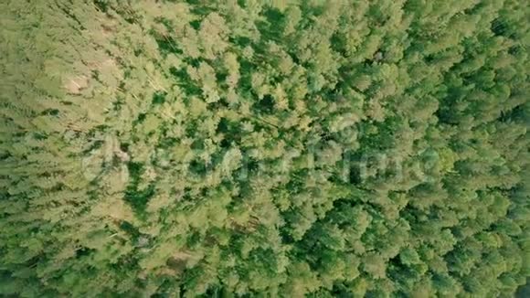 空中无人机飞过森林无人机上升并旋转视频的预览图