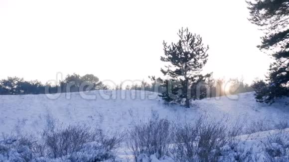 妈妈和儿子带着雪橇在森林里散步家人在阳光明媚的冬日在户外玩得很开心视频的预览图