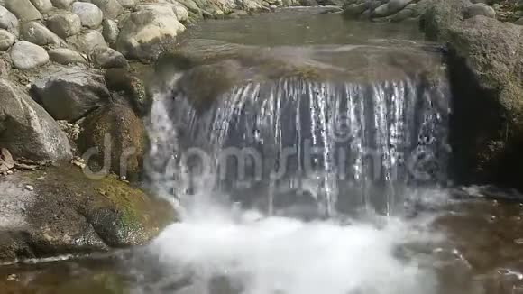 森林溪流流过岩石视频的预览图