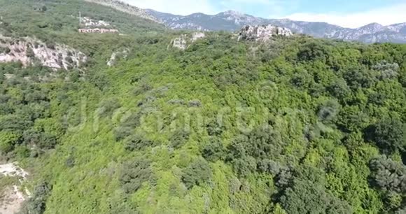 覆盖着落叶和针叶林的山脉视频的预览图