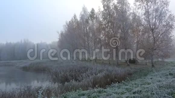 雾蒙蒙的十月霜林中的桦木胡同景色彼得罗夫斯科耶普什金斯基戈里俄罗斯视频的预览图