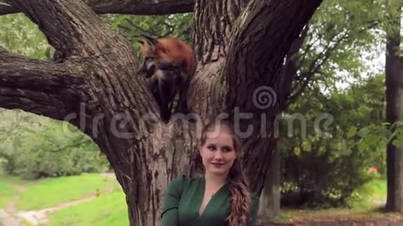 年轻女子站在公园里红狐狸坐的树旁视频的预览图
