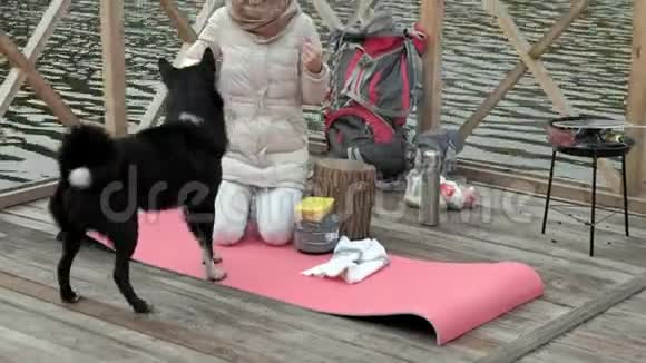 一位女游客坐在河岸附近的桥上喂狗做饭野餐积极休息健康视频的预览图