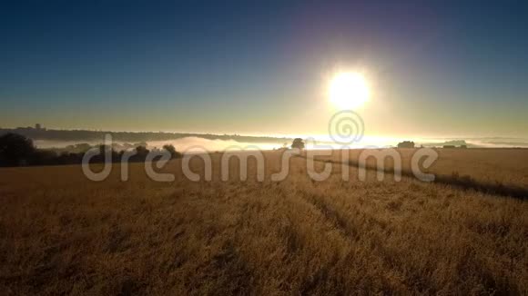 雾状的日出在田野上视频的预览图