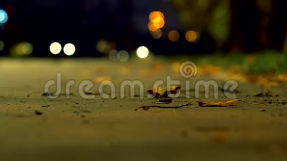 公园在秋天黑暗的夜晚一个人走在人行道上从模糊的背景中查看太阳神镜头视频的预览图