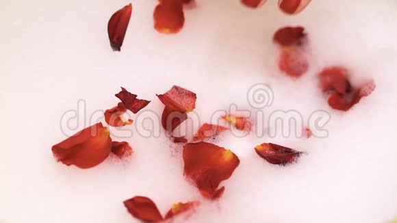 一只手拿着红色玫瑰花瓣的泡沫视频的预览图