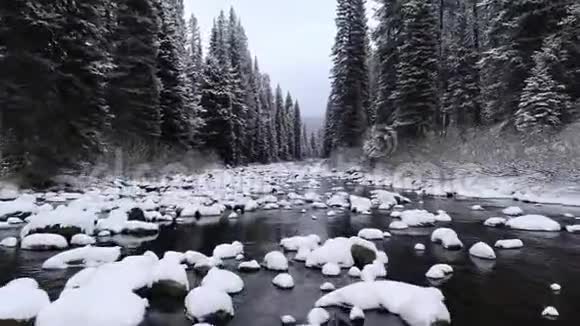 在寒冷的冬天里河水在一片大雪纷飞的高大森林中流淌视频的预览图