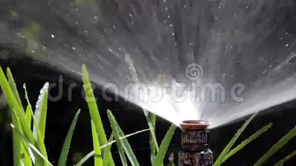 花园灌溉泡沫浇水草坪拍摄POV04视频的预览图