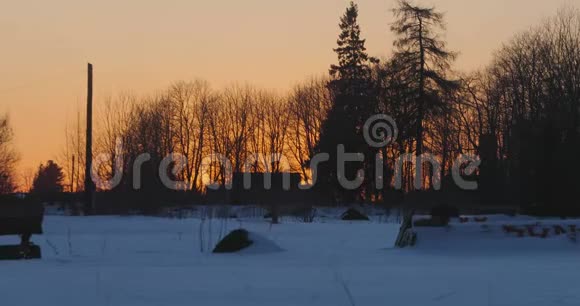 炎热的冬天日落在森林里视频的预览图
