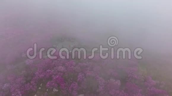 雾蒙蒙的碧玉山大邱韩国亚洲视频的预览图