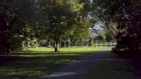 走过新西兰的秋天公园视频的预览图