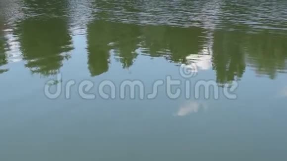 湖水映着树和云带着涟漪视频的预览图