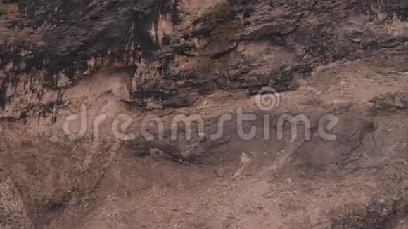 空中拍摄了一群奔跑的伊贝克斯在陡峭的山上视频的预览图