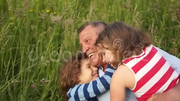 祖父和孙子一个男孩和一个女孩一个哥哥和一个妹妹在一个夏天的空地上休息孙儿快乐地拥抱视频的预览图