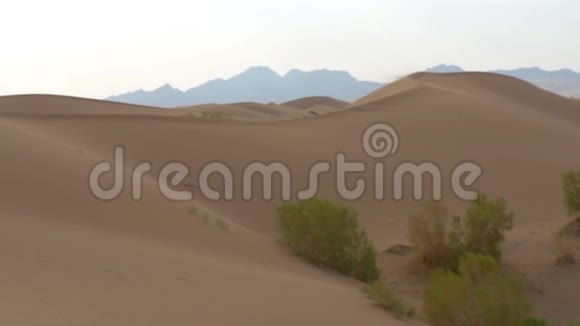 空旷的沙漠植被贫瘠视频的预览图