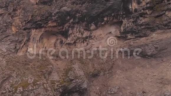 空中拍摄了一群奔跑的伊贝克斯在陡峭的山上视频的预览图