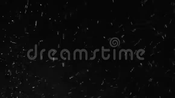 黑色夜晚的暴风雪视频的预览图