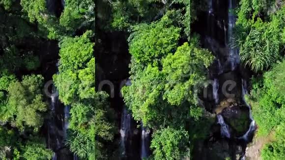 移动设备上社交媒体应用的垂直视频绿林热带瀑布鸟瞰图视频的预览图