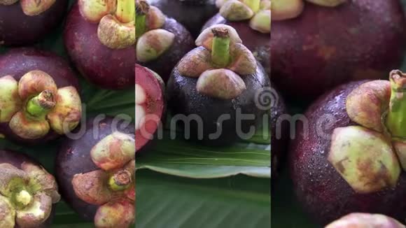 移动设备上社交媒体应用的垂直视频新鲜的泰国热带水果红骨果视频的预览图