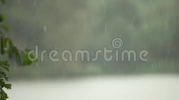 雨落的慢动作视频秋天的天气视频的预览图