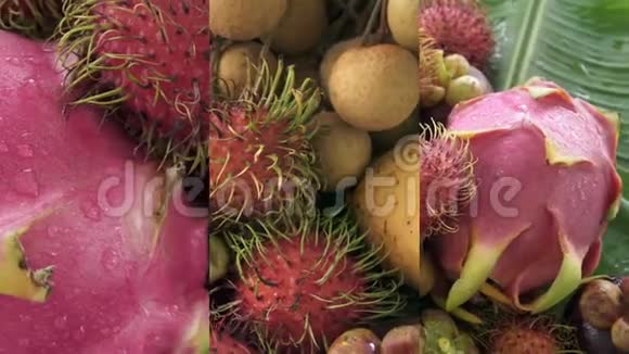 移动设备上社交媒体应用的垂直视频泰国外来热带水果包括视频的预览图