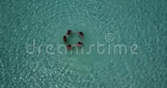 V08445组5名年轻女子在阳光岛白沙滩碧海天海水上进行空中无人机球拍视频的预览图