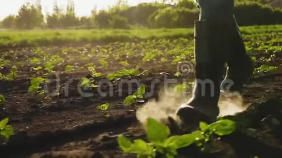 农夫穿着橡胶靴在田里散步特写视频的预览图