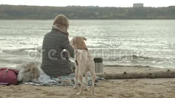 一个穿着外套的年轻女子坐在河边的海滩上大海野餐一只棕色的狗在附近玩耍寒冷的天气视频的预览图