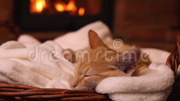 可爱的姜小猫在壁炉前睡觉视频的预览图