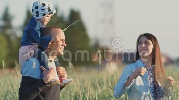 幸福的年轻家庭三个人在一起在一片麦田里的绿色小穗一个小女儿坐在上面视频的预览图
