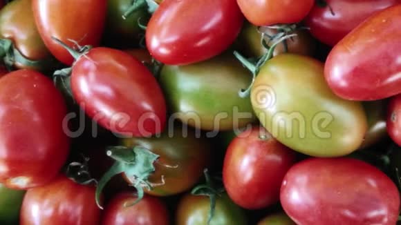 户外西红柿的质地视频的预览图