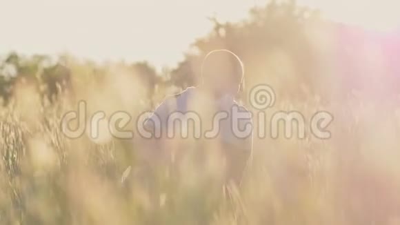 一个年轻的父亲和他的小女儿抱在一片麦田里在绿色的小穗中在阳光下视频的预览图