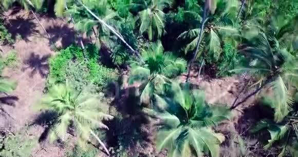 热带海岸无人射击视频的预览图