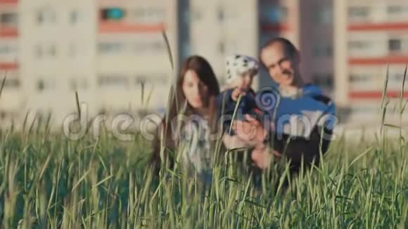一个年轻的家庭她怀里抱着一个小女儿在绿色的小穗中的一片麦田里在一个视频的预览图