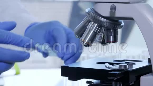 在实验室工作的非裔美国科学家男性医生进行微生物学研究生物技术化学视频的预览图