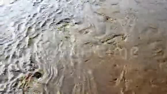 漩涡在旋转的水中视频的预览图