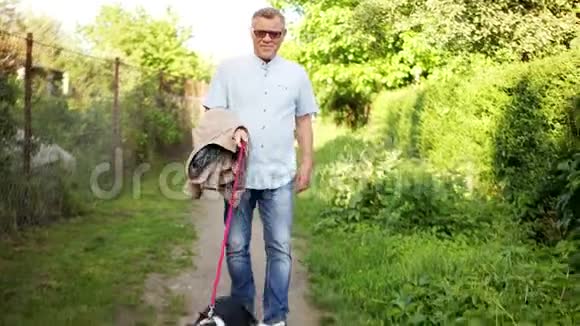 一个成熟的人带着他欢快的狗沿着乡间的道路走狗跳得很高Stadicam视频的预览图