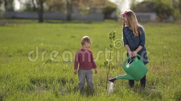 可爱的小男孩和妹妹在花园里植树视频的预览图