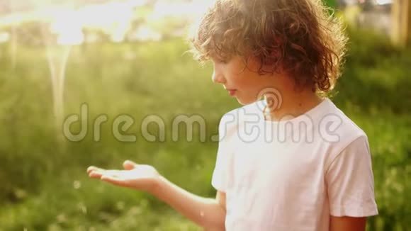 一个卷发男孩的封闭肖像小学生站在夏雨下把手伸向水滴温暖视频的预览图