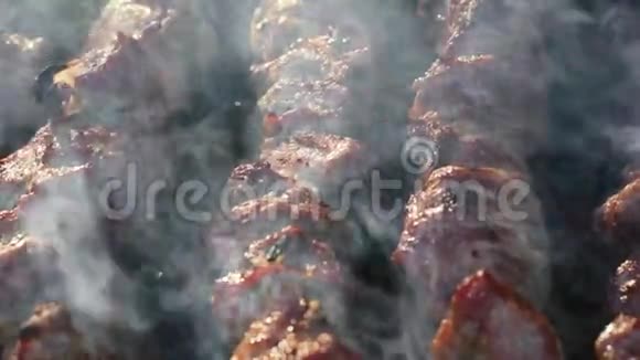 在布拉齐耶烤烟熏烧烤烤肉串烧烤串视频的预览图
