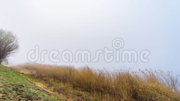清晨雾在日本高谷子的晨景视频的预览图